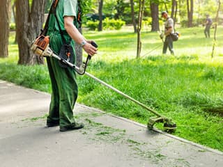 Landscaping & Gardening